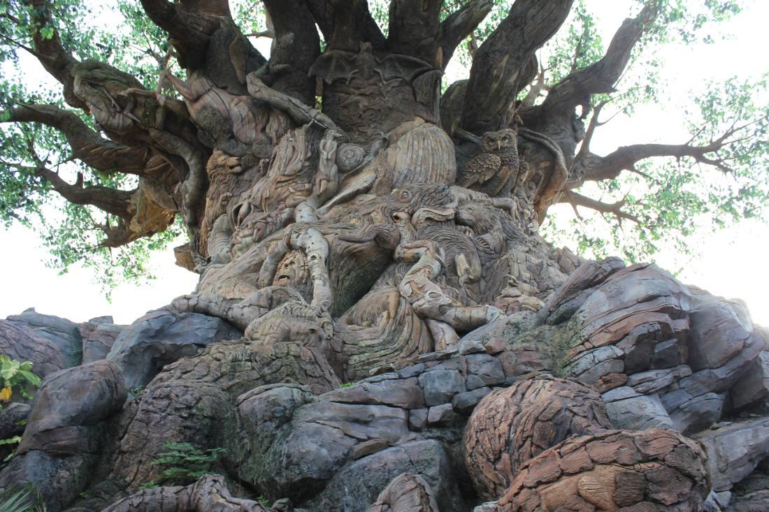 Animal Kingdom