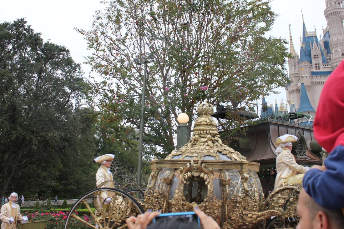 Magic Kingdom at Christmas