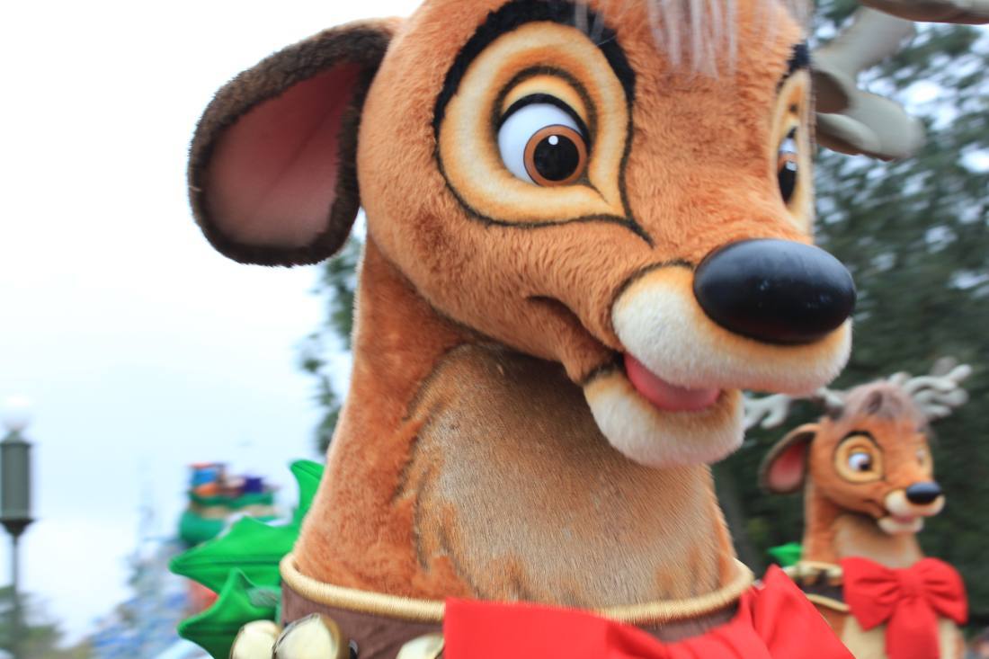 Magic Kingdom at Christmas