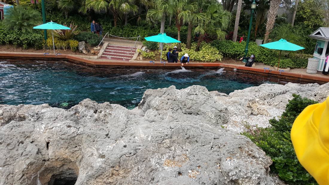 SeaWorld Orlando