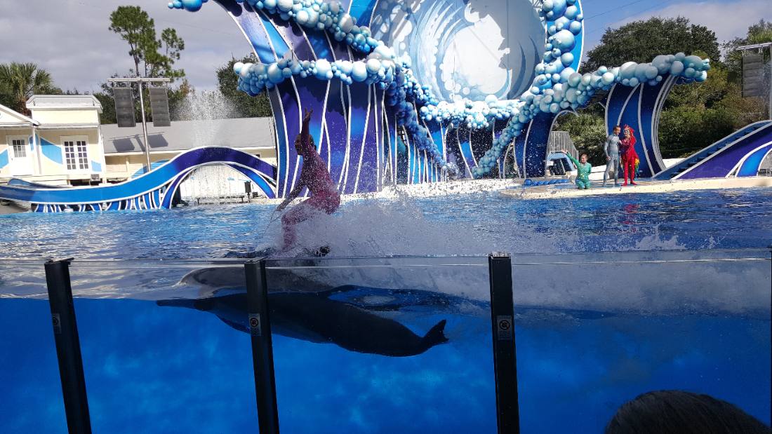 SeaWorld Orlando