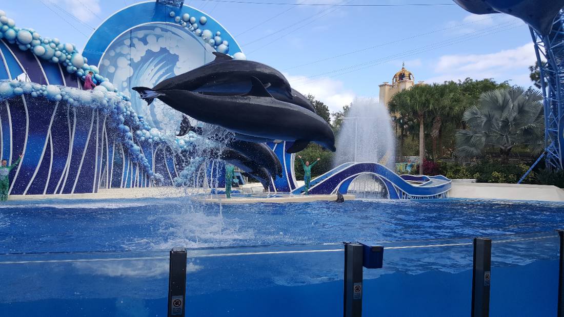 SeaWorld Orlando