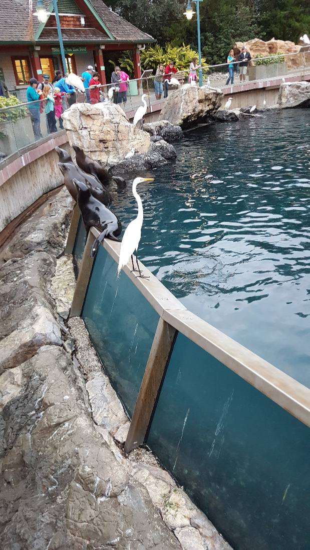 SeaWorld Orlando
