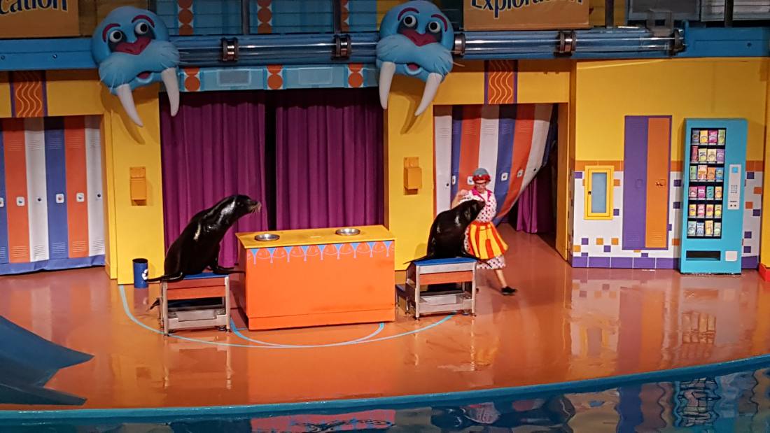 SeaWorld Orlando