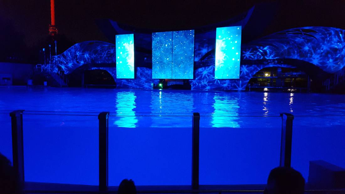 SeaWorld Orlando