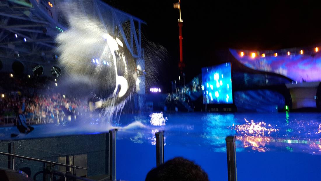 SeaWorld Orlando