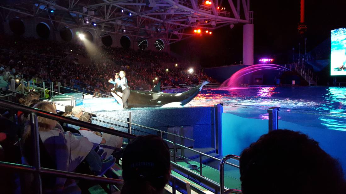 SeaWorld Orlando