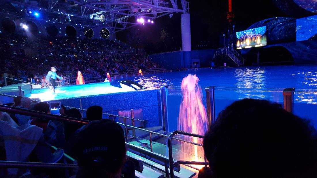 SeaWorld Orlando