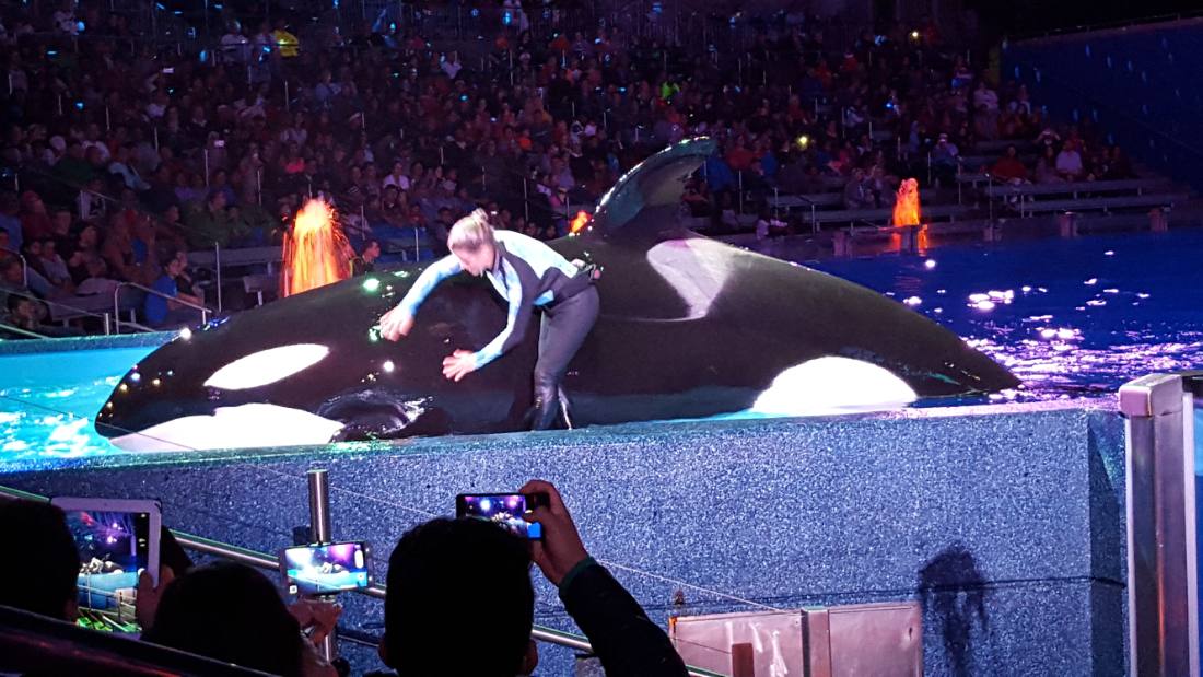 SeaWorld Orlando
