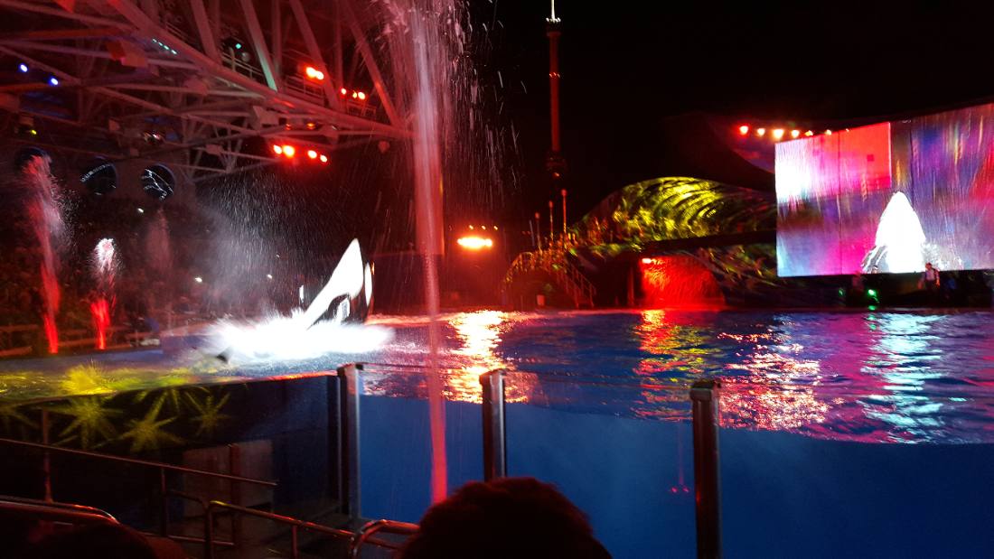 SeaWorld Orlando