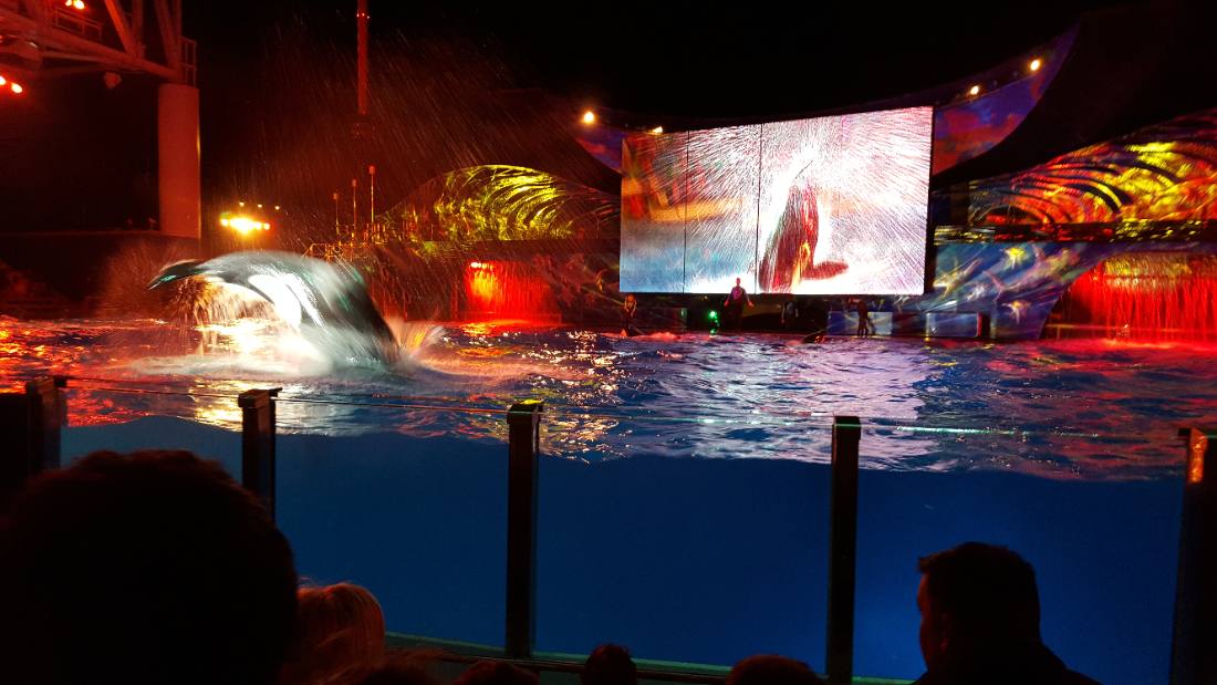 SeaWorld Orlando