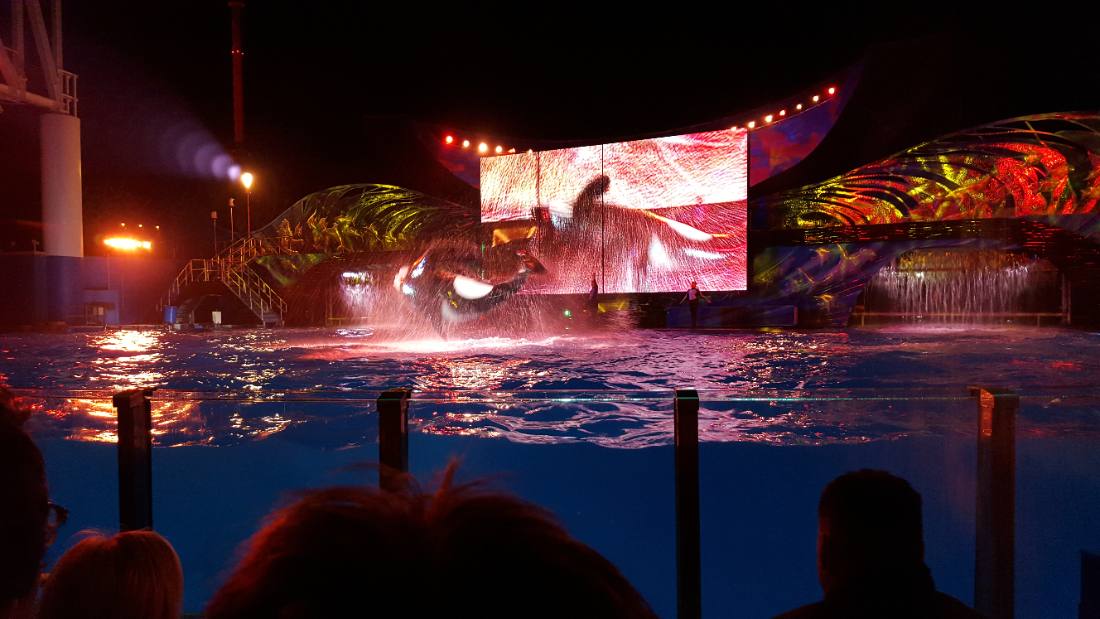 SeaWorld Orlando