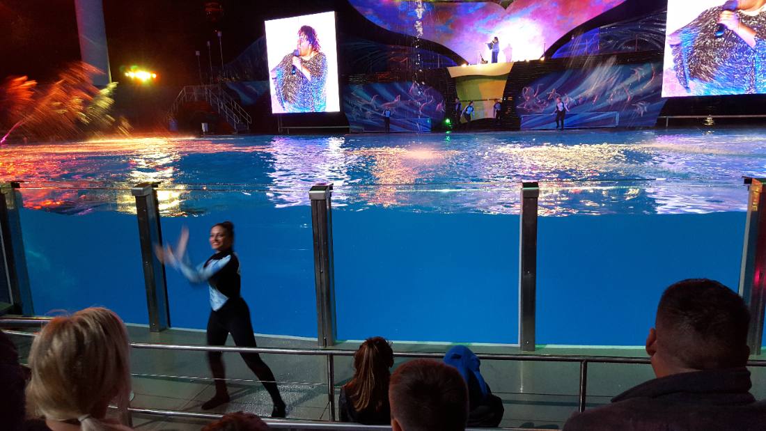 SeaWorld Orlando