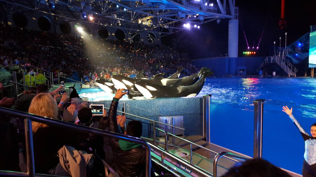 SeaWorld Orlando