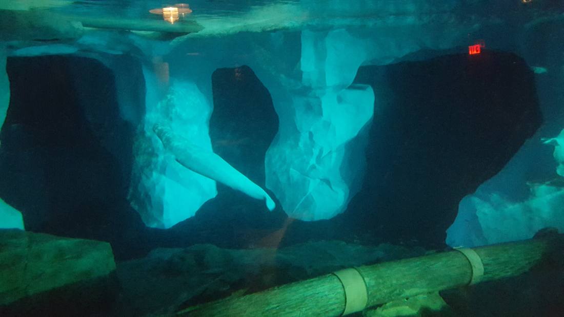 SeaWorld Orlando