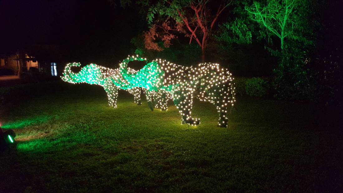 Gatorland & Busch Gardens Tampa