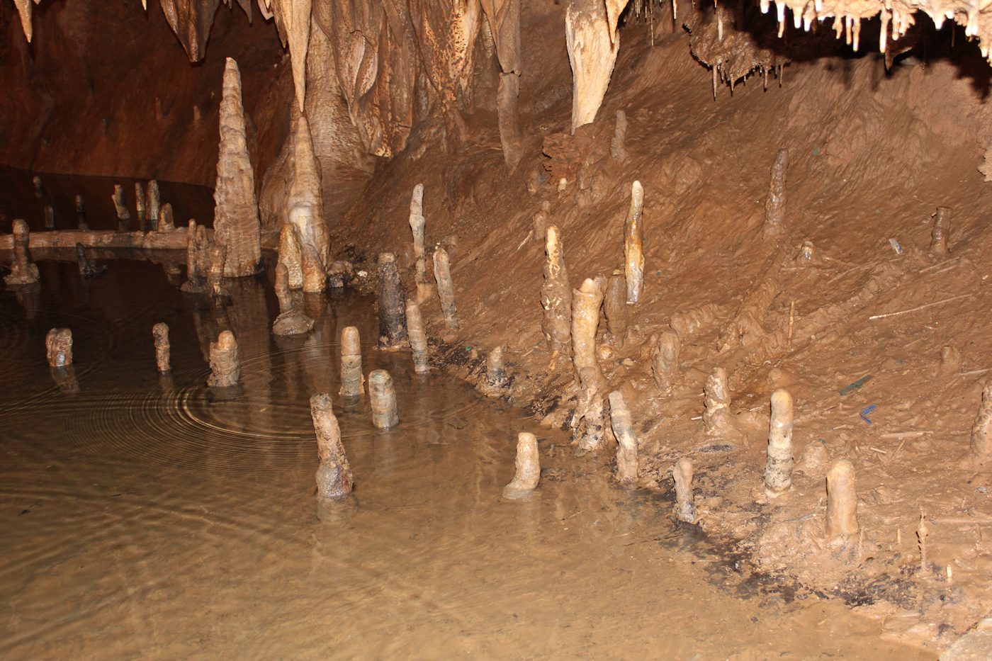 Bridal Cave