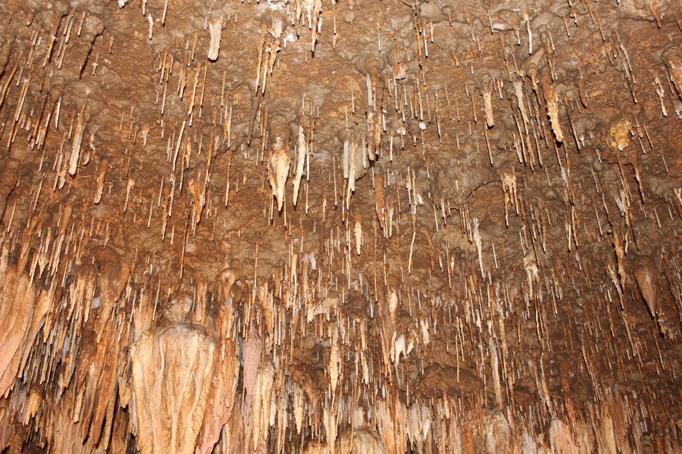 Bridal Cave