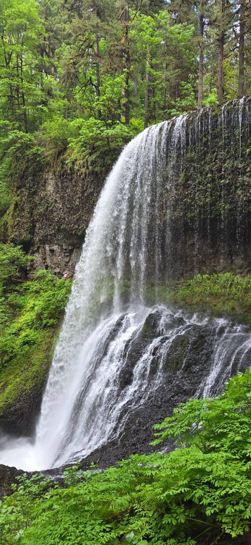 Silver Falls & Portland
