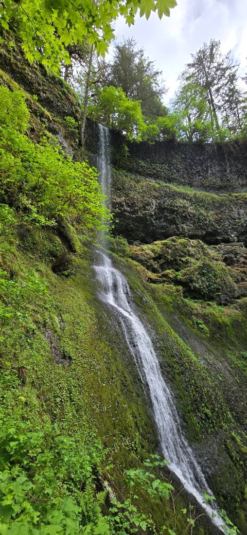 Silver Falls & Portland