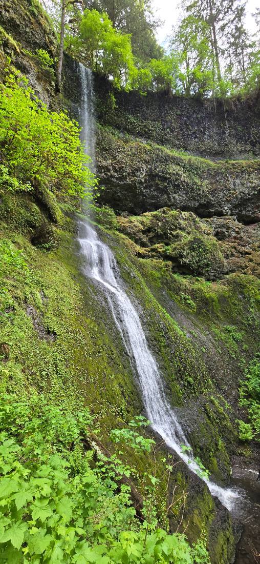 Silver Falls & Portland