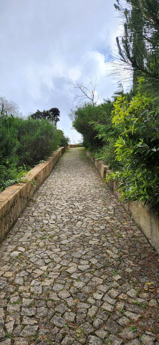 Sintra — Pena Palace & the Regaleira