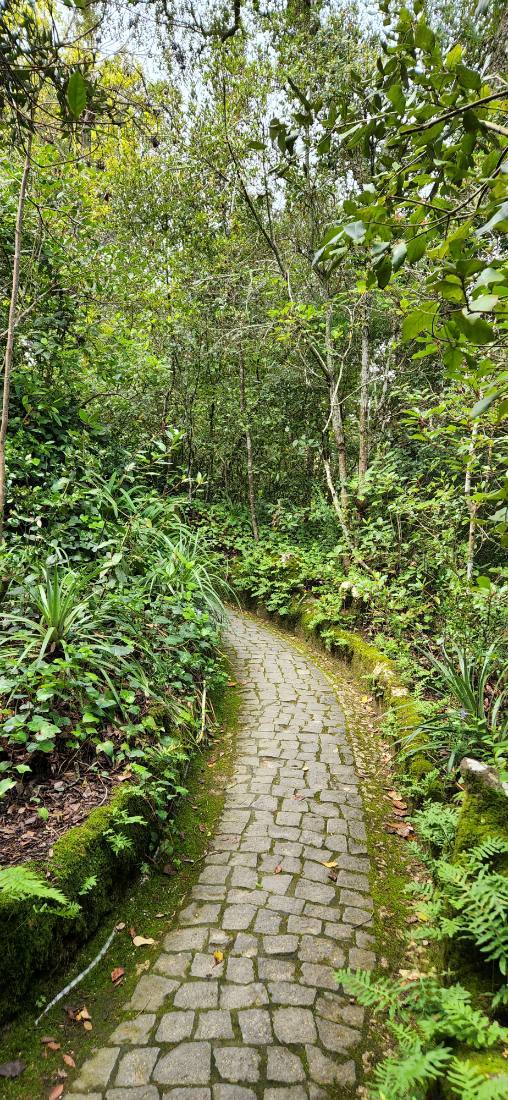 Sintra — Pena Palace & the Regaleira