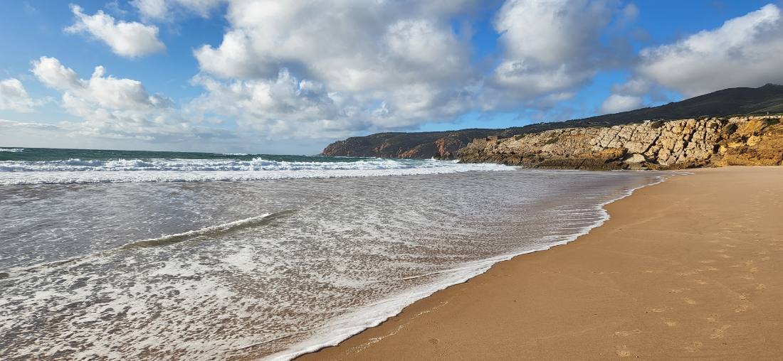 The wild Atlantic coast