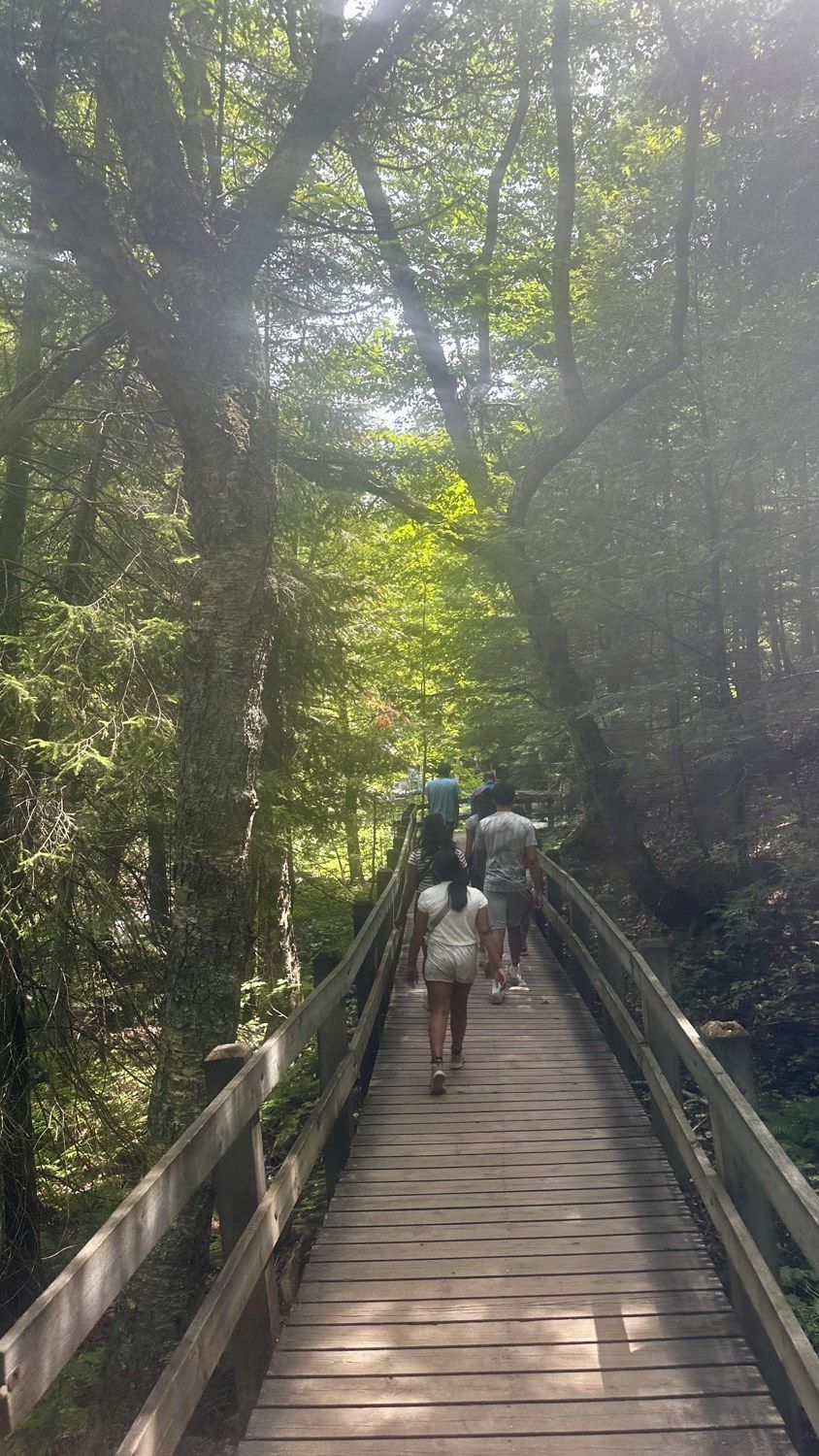 The north woods & Munising