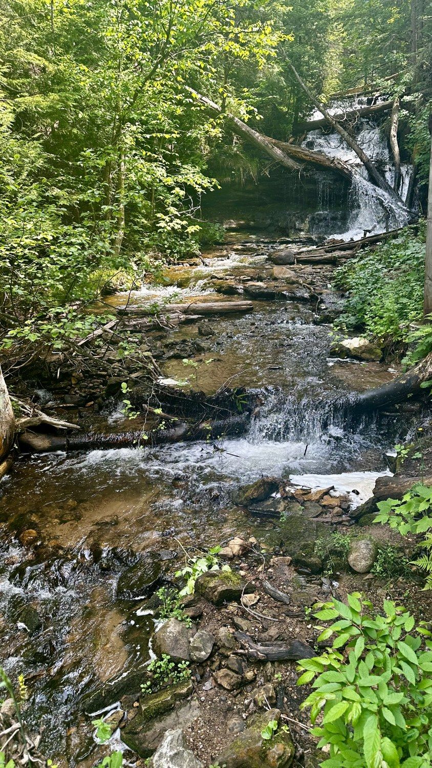 The north woods & Munising