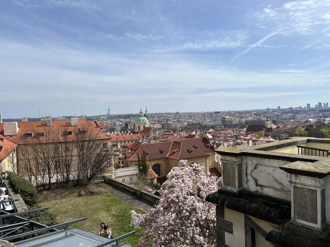 Over the rooftops