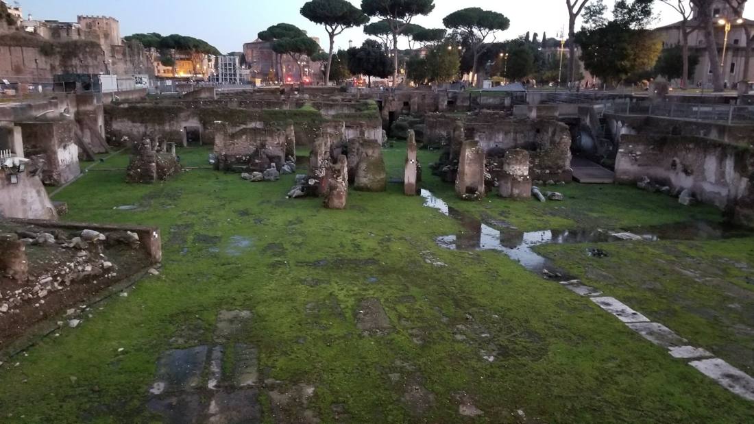 The Forum & the Colosseum