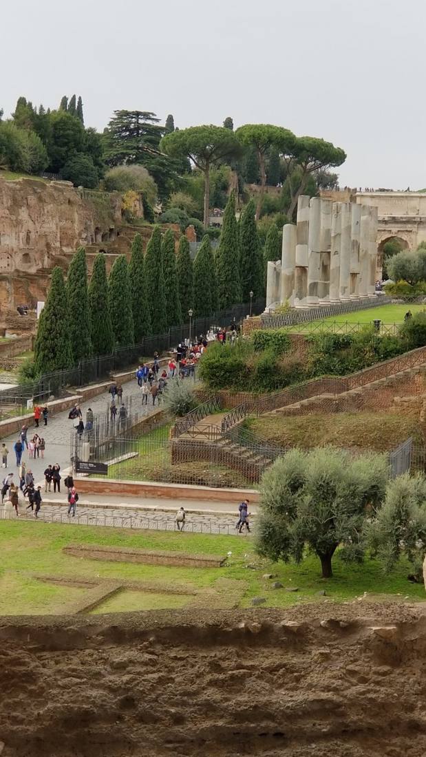 The Forum & the Colosseum