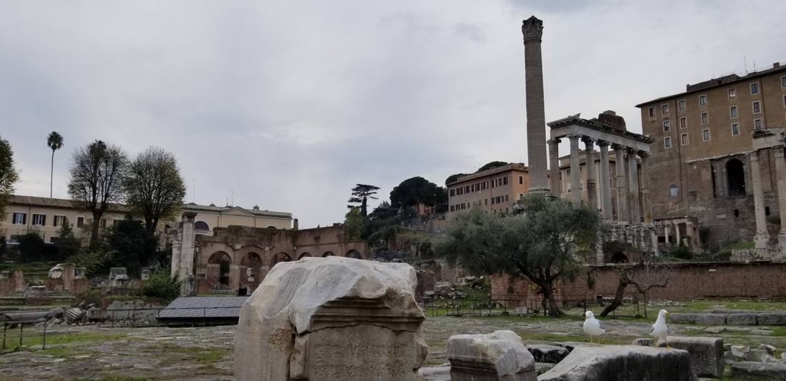 The Forum & the Colosseum