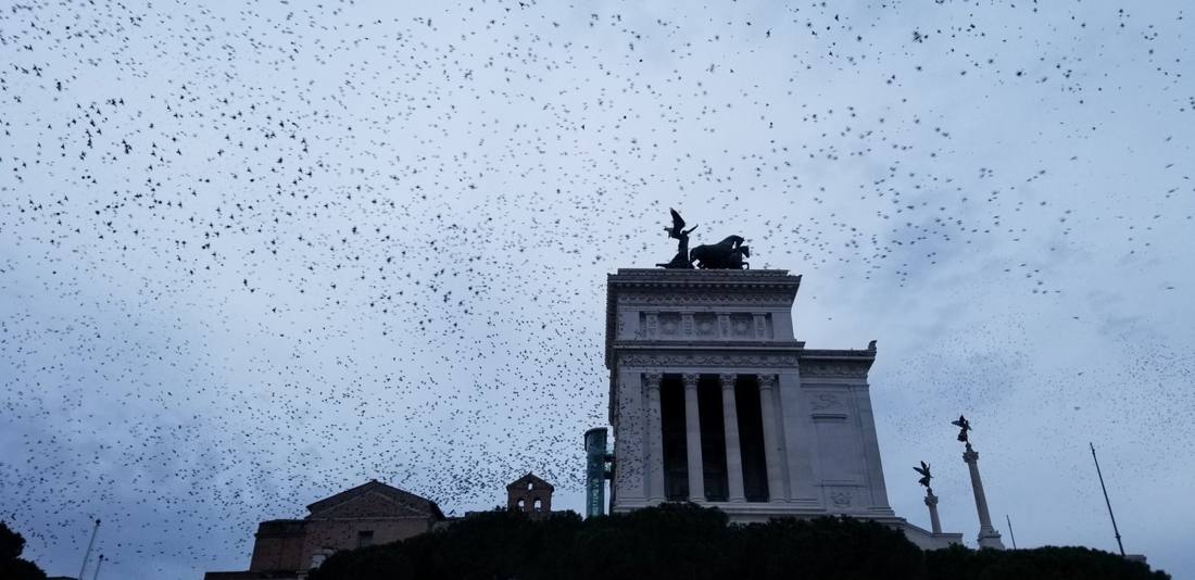 Rome's piazzas & monuments