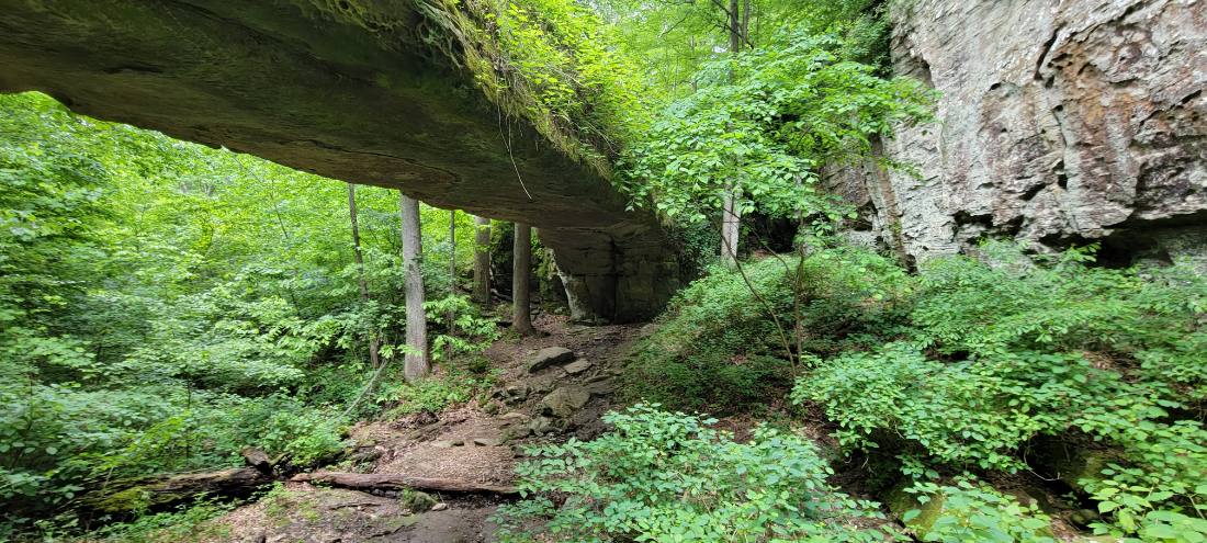 Forest Trails & Canyons
