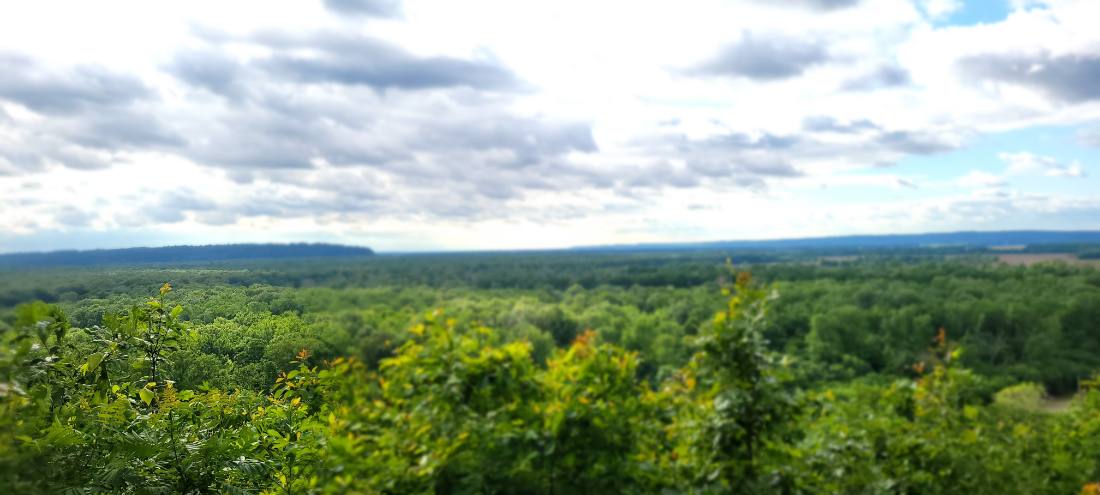 Forest Trails & Canyons