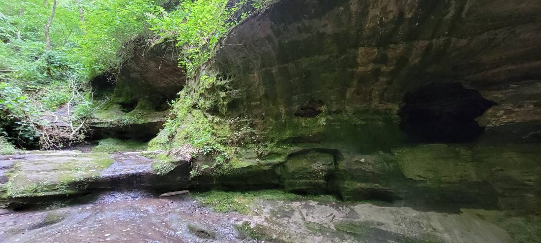 Forest Trails & Canyons