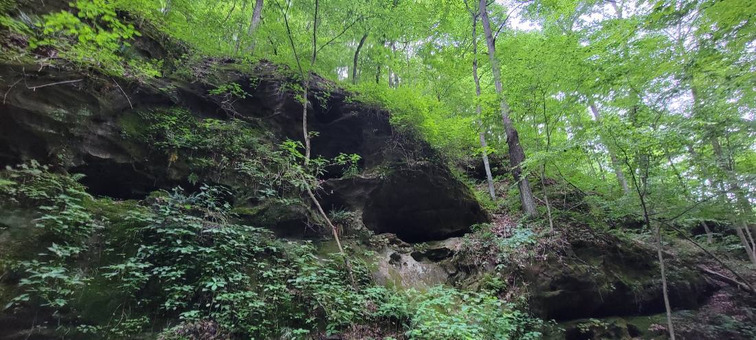 Forest Trails & Canyons