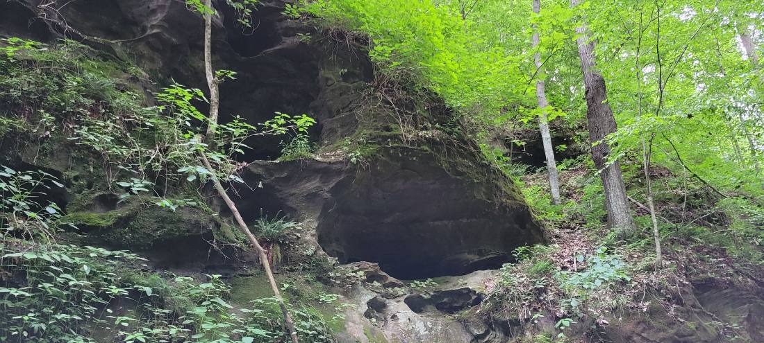Forest Trails & Canyons