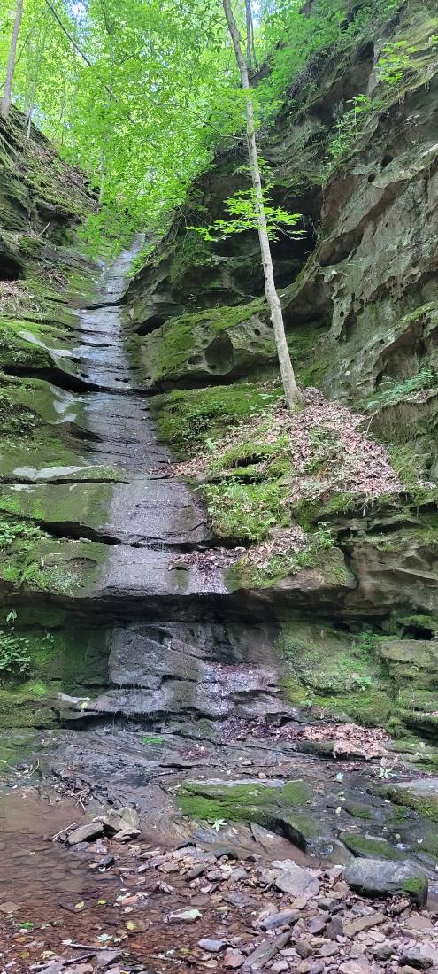 Forest Trails & Canyons