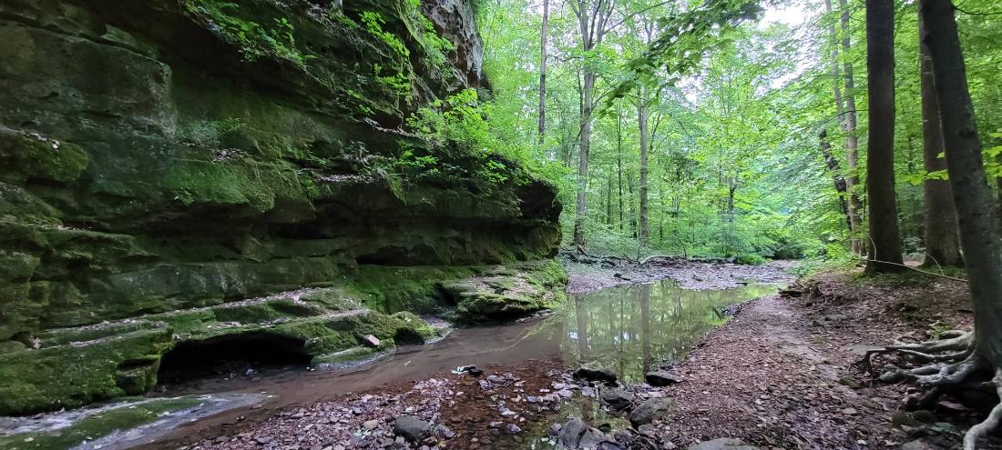 Forest Trails & Canyons