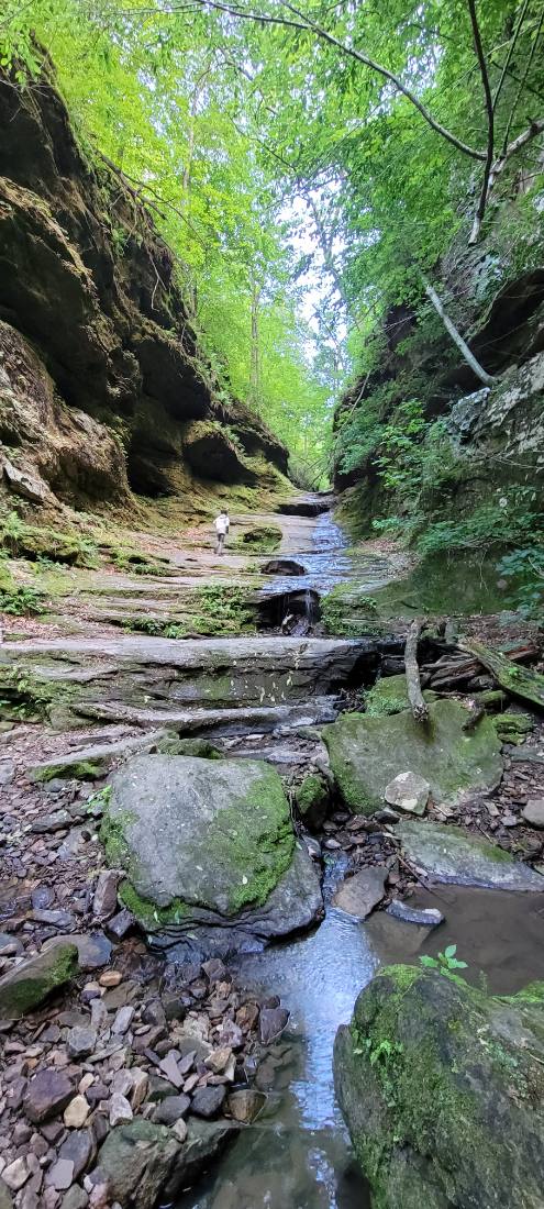 Forest Trails & Canyons