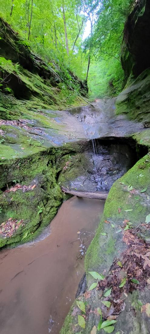 Forest Trails & Canyons