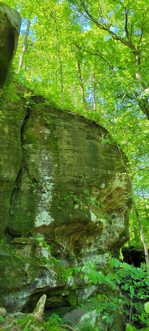 Rock Shelters & Creeks