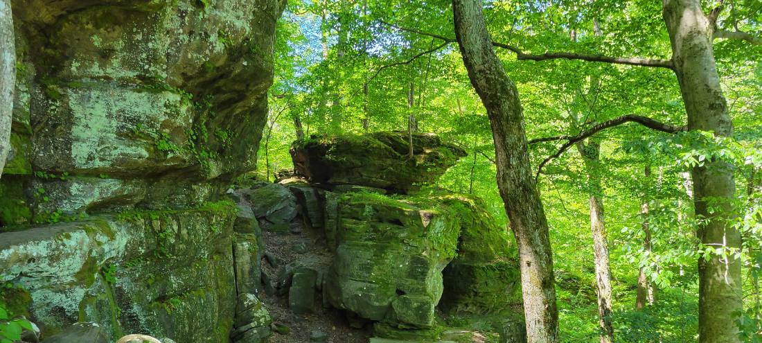 Rock Shelters & Creeks