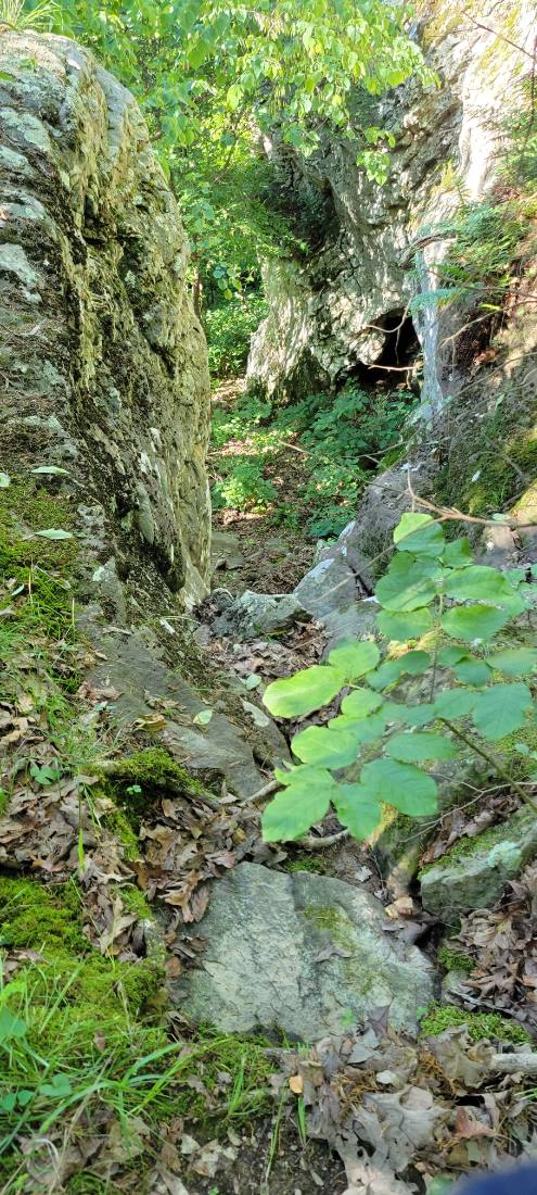 Rock Shelters & Creeks