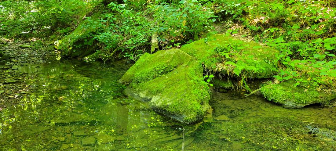 Rock Shelters & Creeks