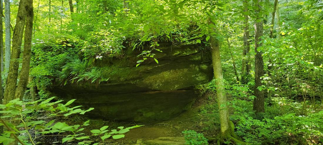 Rock Shelters & Creeks