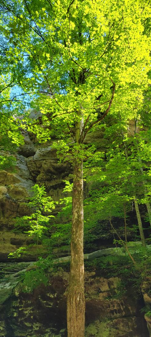 Rock Shelters & Creeks